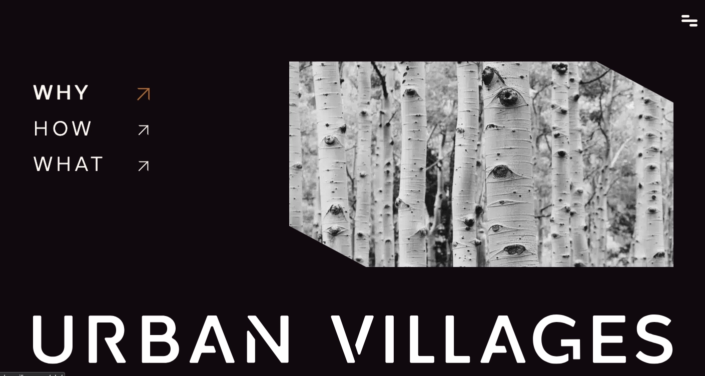 Urban Villages